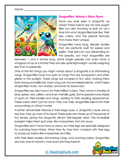 Shimmer Scouts Worksheet