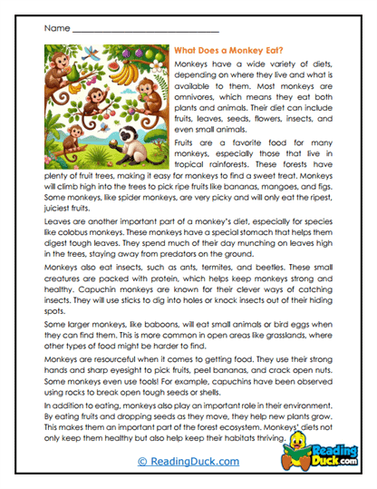 Jungle Menu Worksheet