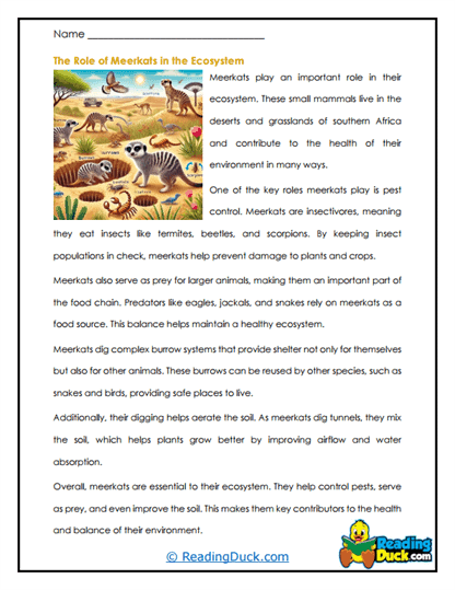Ecosystem Engineers Worksheet
