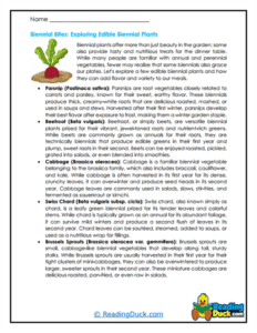 Plant Reading Worksheets | Reading Duck.com