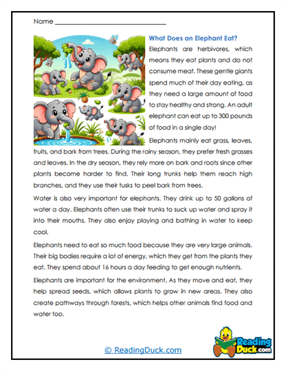 Feeding Frenzy Worksheet