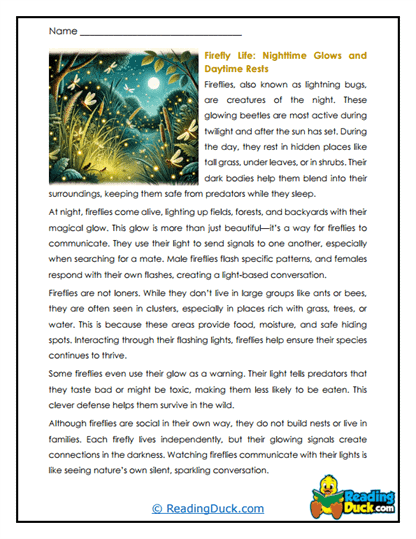 Twilight Lives Worksheet