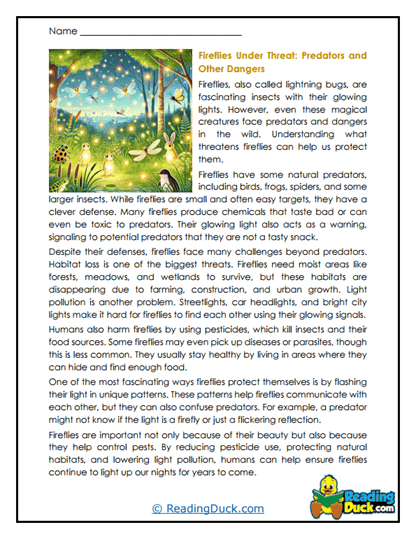 Fireflies (Lightning Bugs) Worksheets