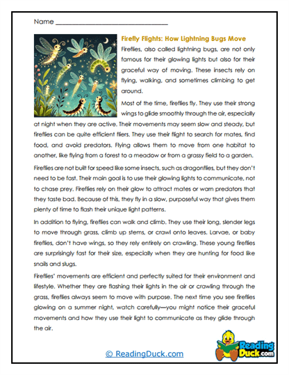 Graceful Gliders Worksheet