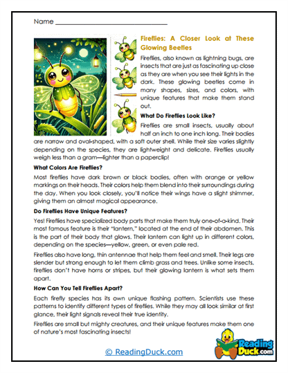 Shining Beetles Worksheet