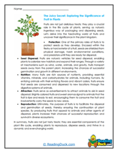 Plant Reading Worksheets | Reading Duck.com