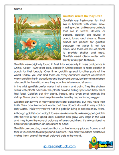 Pond Homes Worksheet