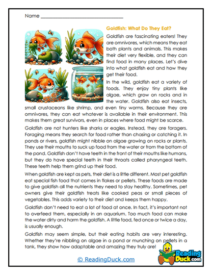 Flexible Feeders Worksheet
