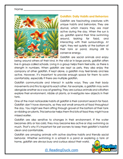 Daily Patterns Worksheet
