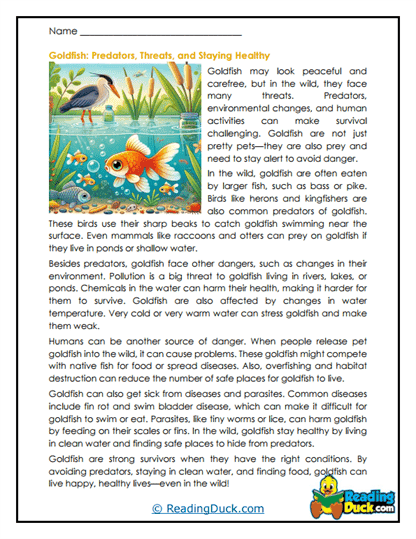 Hidden Threats Worksheet