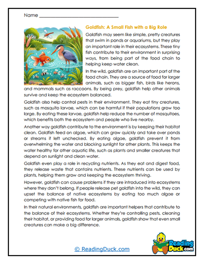 Pond Helpers Worksheet