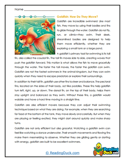 Fin Power Worksheet