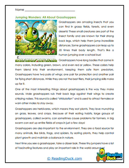 Jumping Wonders Worksheet