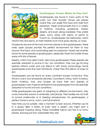 Grasshopper Homes Worksheet