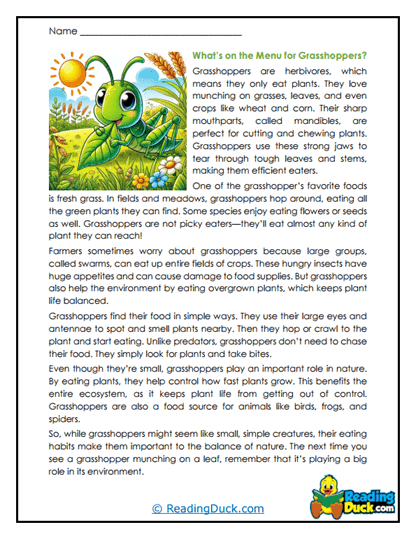 What's on the Menu? Worksheet