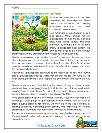 Nature's Neighbors Worksheet