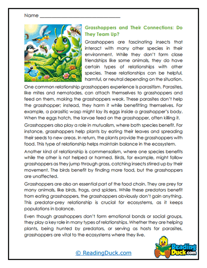 Nature's Partners Worksheet