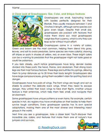 Tiny Explorers Worksheet