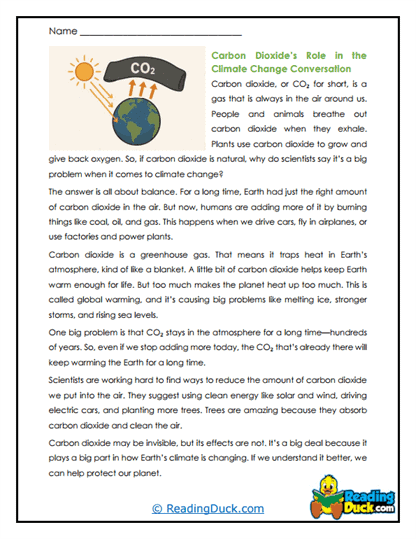 Carbon's Role Worksheet