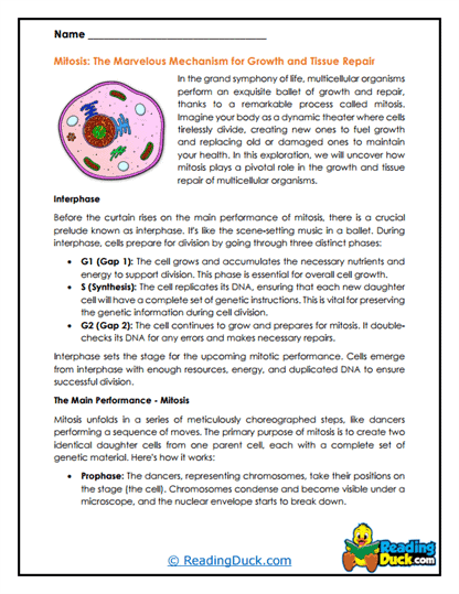 Growth Symphony Worksheet