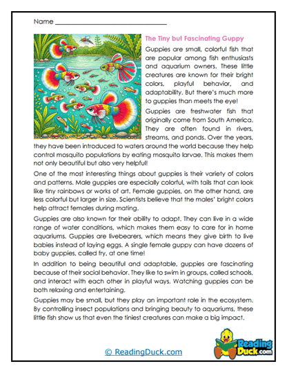 Colorful Swimmers Worksheet