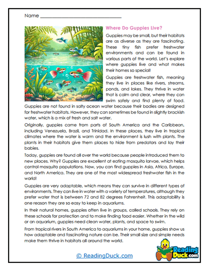 Freshwater Homes Worksheet
