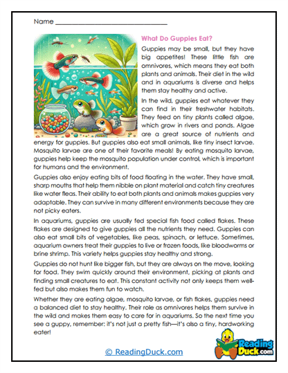 Busy Foragers Worksheet