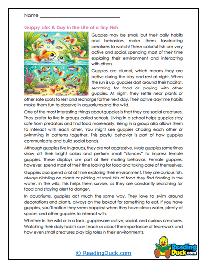 School Life Worksheet
