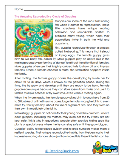 Livebearer Babies Worksheet