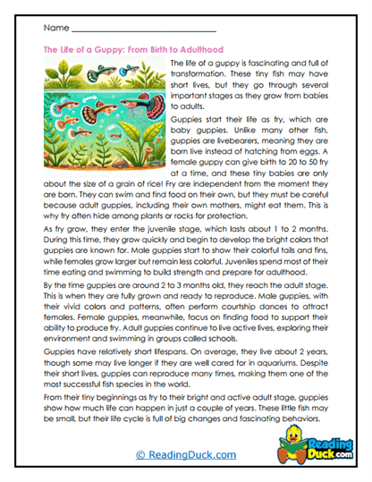 Growing Fry Worksheet