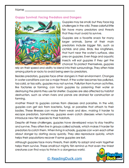 Hidden Dangers Worksheet