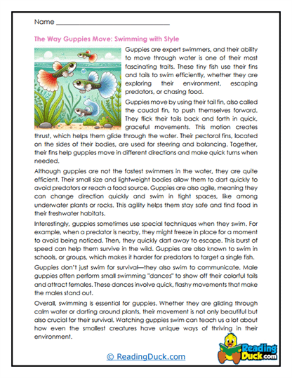Quick Swimmers Worksheet