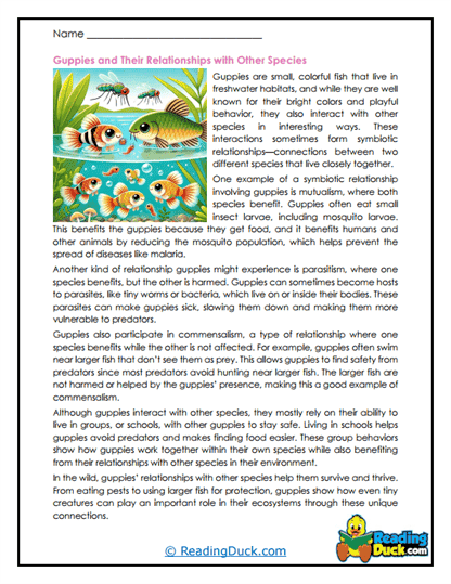 Water Connections Worksheet