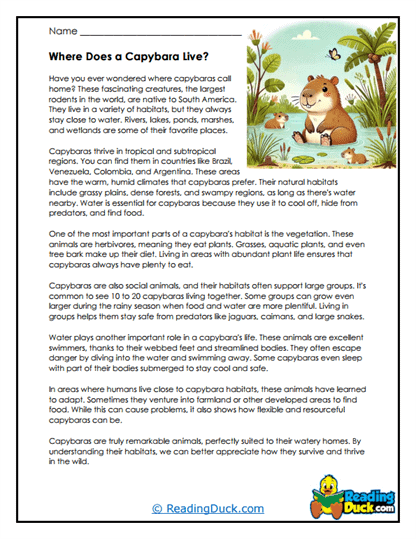 Water Wanderers Worksheet