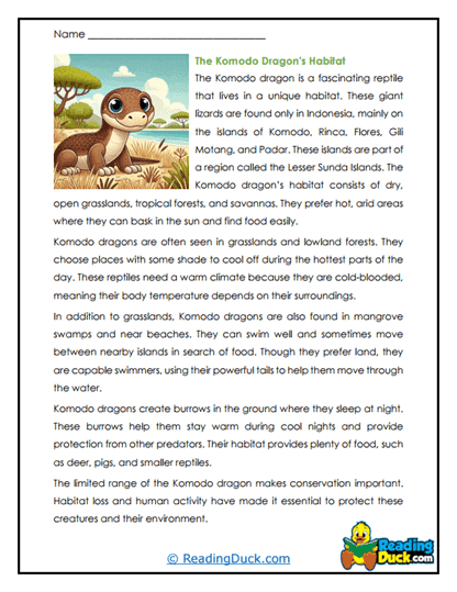 Island Dwellers Worksheet