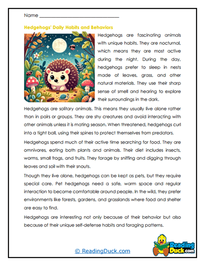 Night Wanderers Worksheet