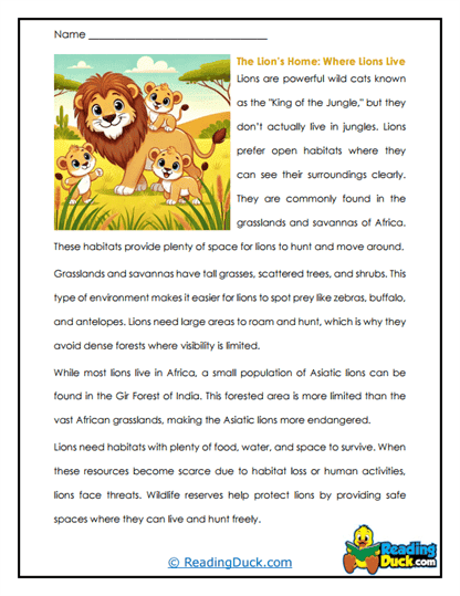 Savanna Homes Worksheet