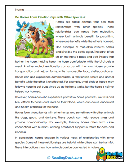 Friendly Hooves Worksheet