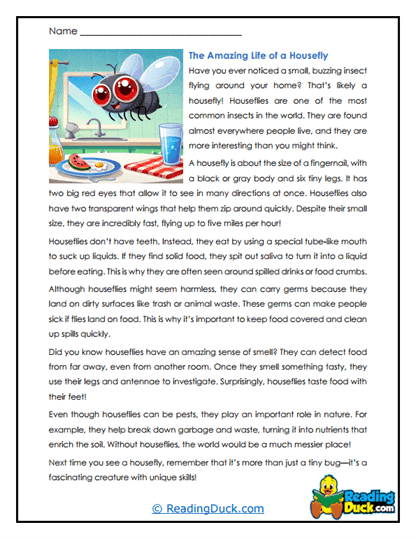 Buzzing Visitors Worksheet