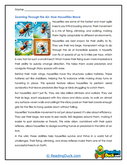 Air Zoomers Worksheet