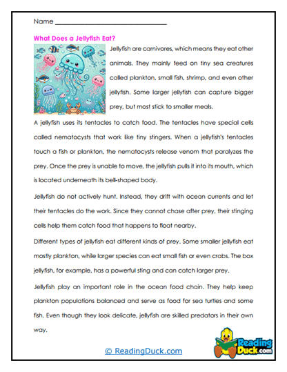 Jellyfish Worksheets