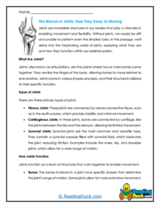 Skeletal System Worksheets | Human Body | Reading Duck.com