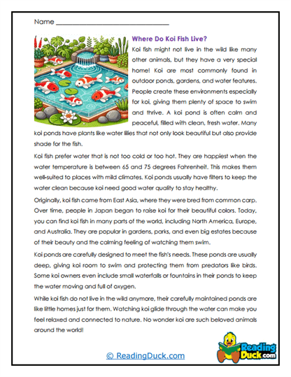 Perfect Ponds Worksheet