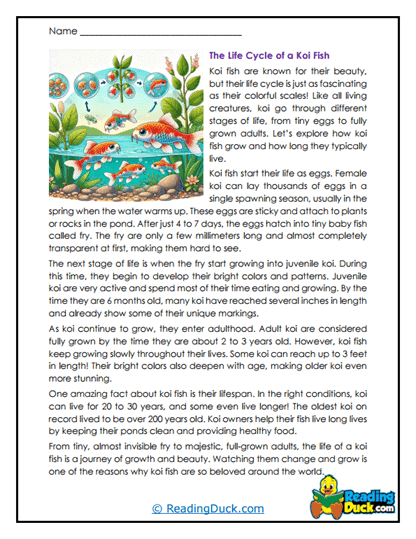 Growing Koi Worksheet