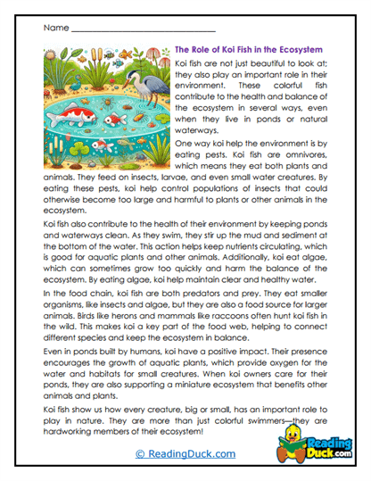 Pond Balance Worksheet