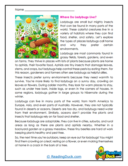 Ladybug Homes Worksheet