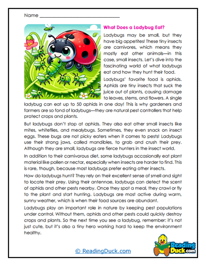 Aphid Chasers Worksheet