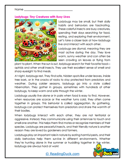 Busy Beetles Worksheet