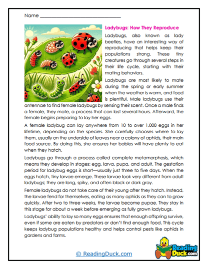Growing Spots Worksheet
