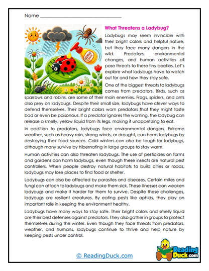 Danger Ahead Worksheet